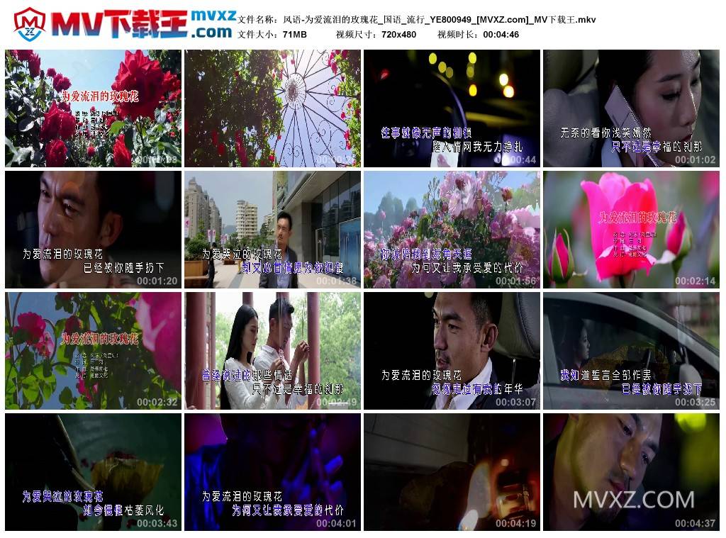 风语-为爱流泪的玫瑰花_国语_流行_YE800949